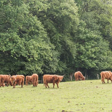 Awesome In With Sauna * ハザスレウ